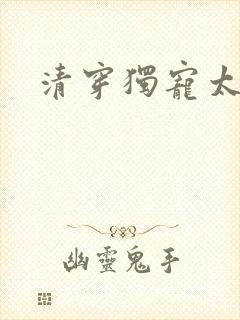 清穿独宠太子妃封面