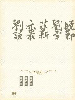 刘亦菲刘晓莉小说最新章节更新