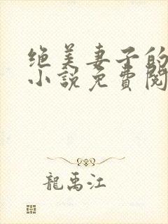 绝美妻子的秘密小说免费阅读