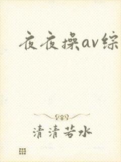 夜夜操av综合
