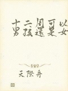 十二周可以看出男孩还是女孩吗封面