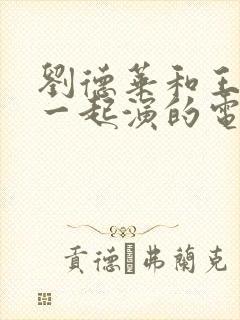 刘德华和王祖贤一起演的电影