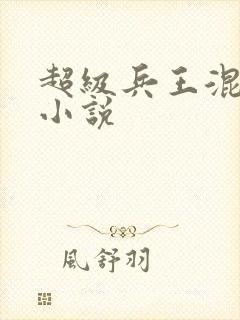 超级兵王混都市小说