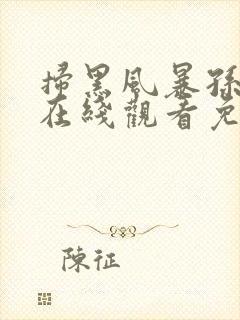 扫黑风暴孙红雷在线观看免费完整版西瓜