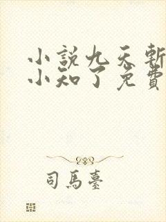 小说九天斩神诀小知了免费阅读