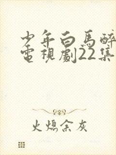 少年白马醉春风电视剧22集免费观看