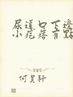 尿道口下边有个小疙瘩有点痒封面