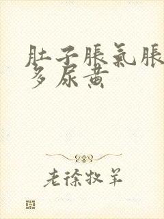 肚子胀气胀痛屁多尿黄封面