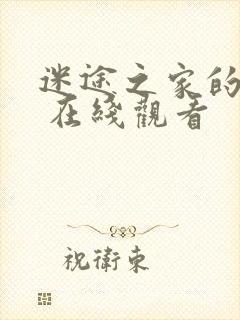 迷途之家的姐姐 在线观看封面