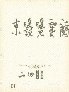 古暖暖和江尘御小说免费阅读封面