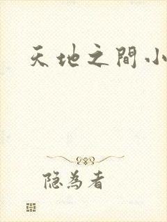 天地之间小说