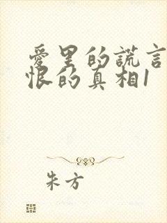 爱里的谎言,仇恨的真相1