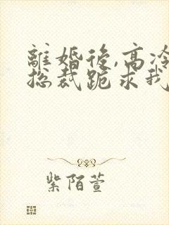 离婚后,高冷女总裁跪求我原谅封面