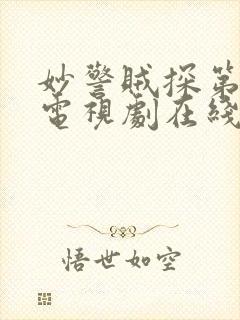 妙警贼探第2季电视剧在线看封面