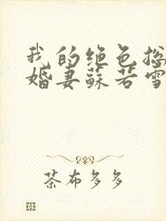 我的绝色总裁未婚妻苏若雪沈浪