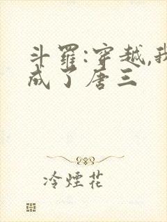 斗罗:穿越,我成了唐三封面