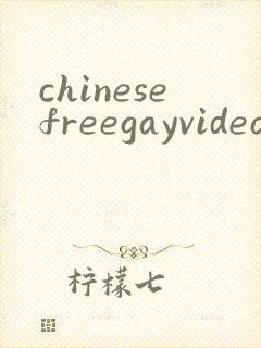 chinesefreegayvideos封面