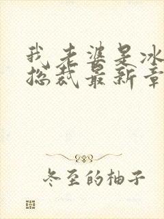 我老婆是冰山女总裁最新章节小说