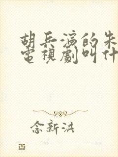 胡兵演的朱元璋电视剧叫什么封面