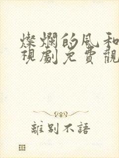 灿烂的风和海电视剧免费观看完整版