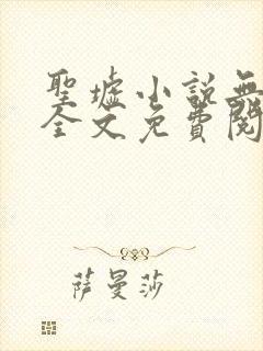 圣墟小说无弹窗全文免费阅读封面