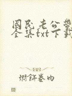 国民老公带回家全集txt下载封面