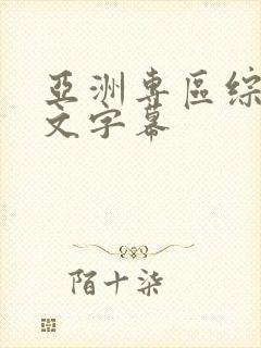 亚洲专区综合中文字幕