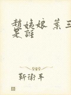 赵姨娘 叶三少是谁