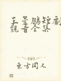 王晨鹏短剧免费观看全集