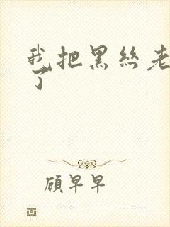 我把黑丝老师操了封面