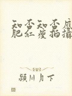 知否知否应是绿肥红瘦拍摄时间