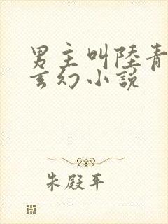 男主叫陆青云的玄幻小说