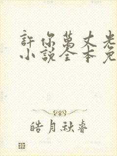 许你万丈光芒好小说全本免费阅读笔趣阁