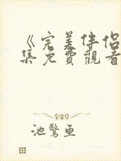 《完美伴侣》全集免费观看