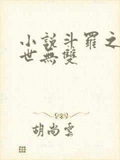 小说斗罗之我举世无双