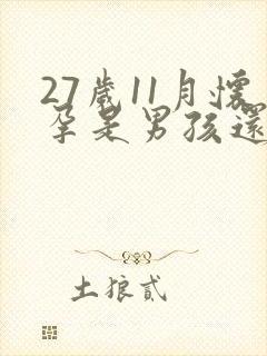 27岁11月怀孕是男孩还是女孩封面