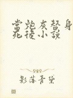 当炮灰替身的我死后小说