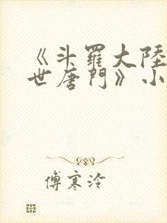 《斗罗大陆2绝世唐门》小说