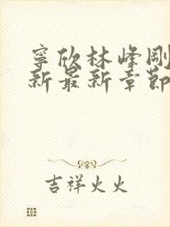 宁欣林峰刚刚更新最新章节封面