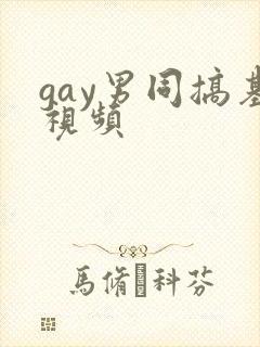 gay男同搞基视频
