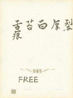 舌苔白厚裂纹齿痕