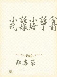 小说小说分手后我嫁给了前任小叔封面