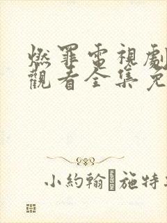 燃罪电视剧在线观看全集免费