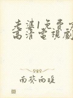 老婆1免费完整高清电视剧