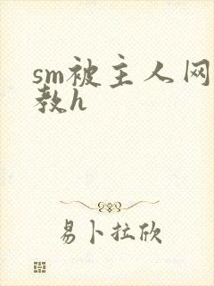 sm被主人网调教h