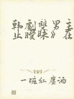 韩剧双男主《不止暧昧》在线播放