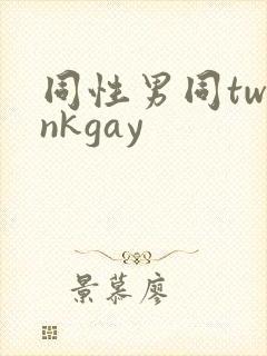 同性男同twinkgay