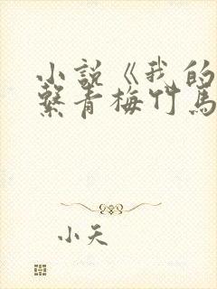 小说《我的禁欲系青梅竹马》封面