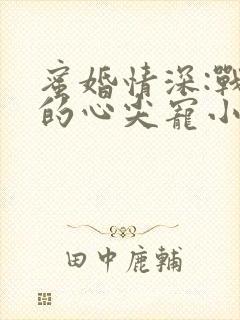 蜜婚情深:战少的心尖宠小说