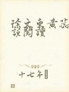 徐文东黄蕊蕊小说阅读